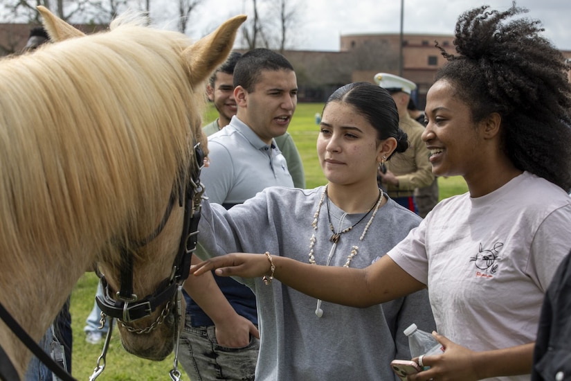 Two women in casual attire pet the head of a horse. Men in casual attire mingle in the background.