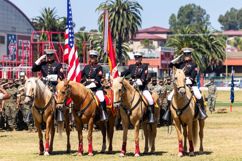 Four people in military dress uniforms sit stoically on horses. Two of them salute while the other two hold flags upright. Dozens of people in camouflage military uniforms are seen saluting in the background.