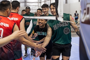 Men high five through slash under volleyball net