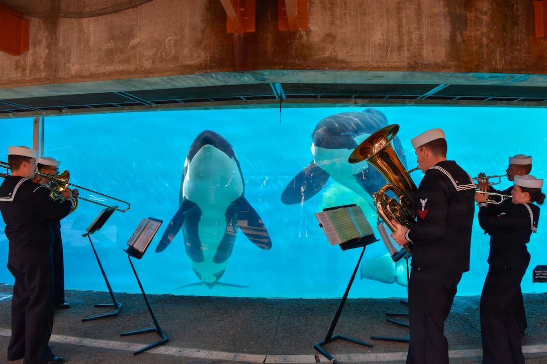 Five people wearing blue uniforms and white hats play musical instruments and look at sheet music on stands, while two orcas swim in an aquarium tank.