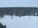An Alaska Army National Guard aircrew assigned to Bethel conduct a search and rescue mission to locate and extract an overdue snowmachiner during a mission coordinated through the Alaska Rescue Coordination Center in Western Alaska, Feb. 16, 2026. The aircrew searched for about three and a half hours, covering more than 100 square miles of terrain before eventually locating the individual about 110 miles north of Bethel, roughly 30 miles east of his last known location. Photo by Chief Warrant Officer 3 Colten Bell.