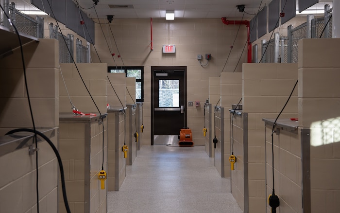 Overall hallway view of the new kennel facility.