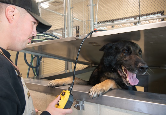 Airman stands left on photo with remote in hand, looks at the dog in the metal crate.