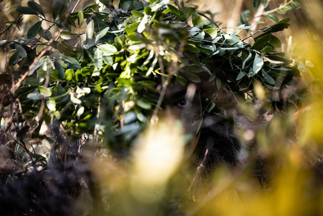 U.S. Marine Corps Sgt. Damian Magana, an infantry scout with 3rd Battalion, 2nd Marine Regiment, 24th Marine Expeditionary Unit, stalks through vegetation during a stalker lane as part of the 24th MEU’s certification exercise on Marine Corps Base Camp Lejeune, North Carolina, Feb. 12, 2026. CERTEX is a land-based pre-deployment exercise that enhances the integration and collective capability of the Marine Air-Ground Task Force while providing the 24th MEU with an opportunity to train and execute operations in any clime and place. (U.S. Marine Corps photo by Lance Cpl. Brian Bolin Jr.)