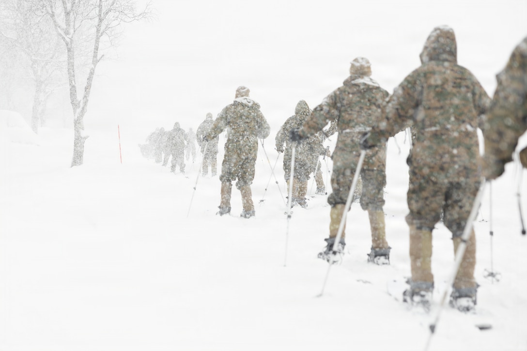 U.S. Marines and Sailors with 2nd Distribution Support Battalion, Combat Logistics Regiment 27, 2nd Marine Logistics Group, learn how to ski during cold weather training in preparation for exercise Cold Response 26 in Elvegardsmoen, Norway, Feb. 15, 2026. A key component of NATO's enhanced vigilance activity Arctic Sentry, exercise Cold Response 26 is a Norwegian-led winter military exercise designed to enhance collective defense capabilities and ensure U.S. readiness to rapidly deploy and seamlessly operate alongside NATO Allies in challenging arctic conditions. (U.S. Marine Corps photo by Lance Cpl. Franco Lewis)