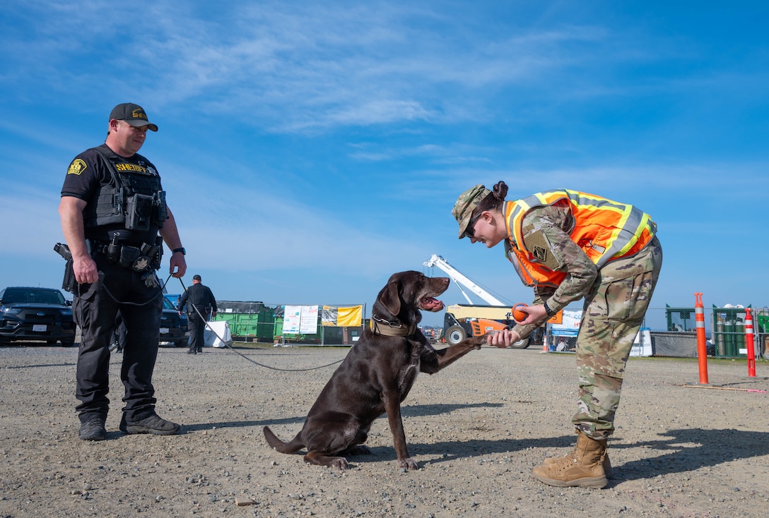 U.S. Army 1st Lieutenant, Gabby Faltin, shakes paws with a Sacramento County Sheriff K-9 officer while visiting the security team in Folsom, California on Jan. 29, 2026. Faltin serves as an Army engineer officer assigned to the U.S. Army Corps of Engineers Sacramento District, where she applies her civil engineering background to manage projects supporting civil works initiatives. (U.S. Army photo by Bertha Smith, U.S. Army Corps of Engineers Sacramento District Public Affairs)