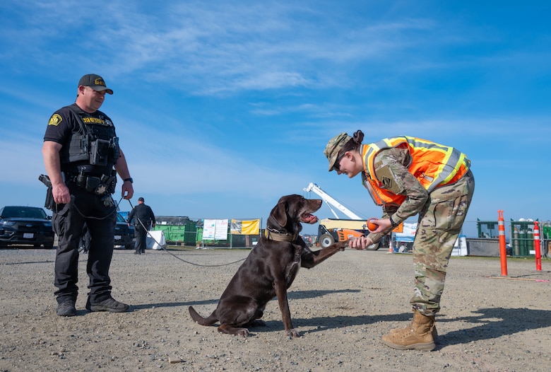 U.S. Army 1st Lieutenant, Gabby Faltin, shakes paws with a Sacramento County Sheriff K-9 officer while visiting the security team in Folsom, California on Jan. 29, 2026. Faltin serves as an Army engineer officer assigned to the U.S. Army Corps of Engineers Sacramento District, where she applies her civil engineering background to manage projects supporting civil works initiatives. (U.S. Army photo by Bertha Smith, U.S. Army Corps of Engineers Sacramento District Public Affairs)