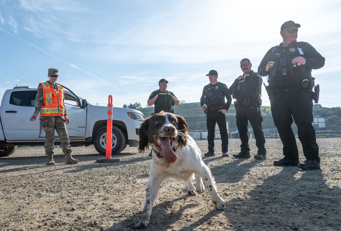U.S. Army 1st Lieutenant, Gabby Faltin, visits with Sacramento County Sheriff’s and their K-9 officers on site in Folsom, California on Jan. 29, 2026. Faltin serves as an Army engineer officer assigned to the U.S. Army Corps of Engineers Sacramento District, where she applies her civil engineering background to manage projects supporting civil works initiatives. (U.S. Army photo by Bertha Smith, U.S. Army Corps of Engineers Sacramento District Public Affairs)