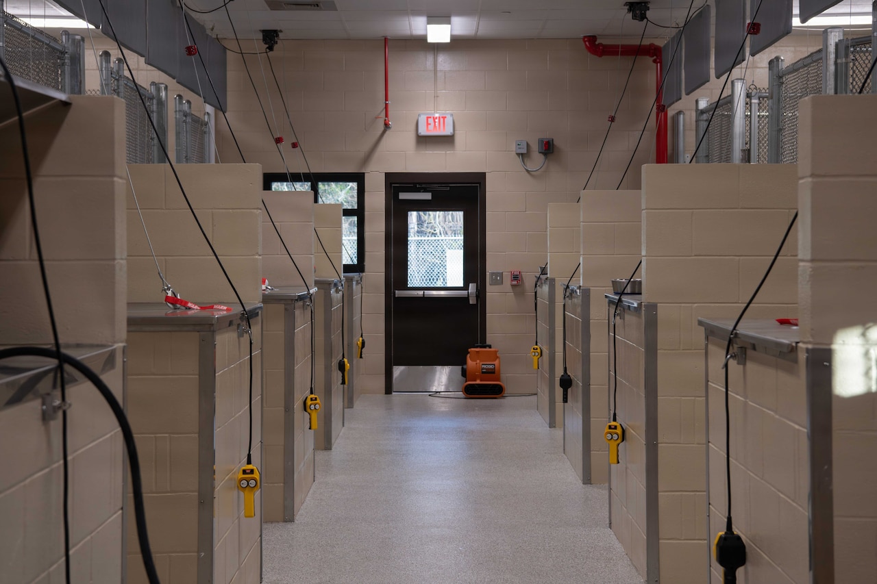 Dog kennels line the inside of a military facility.