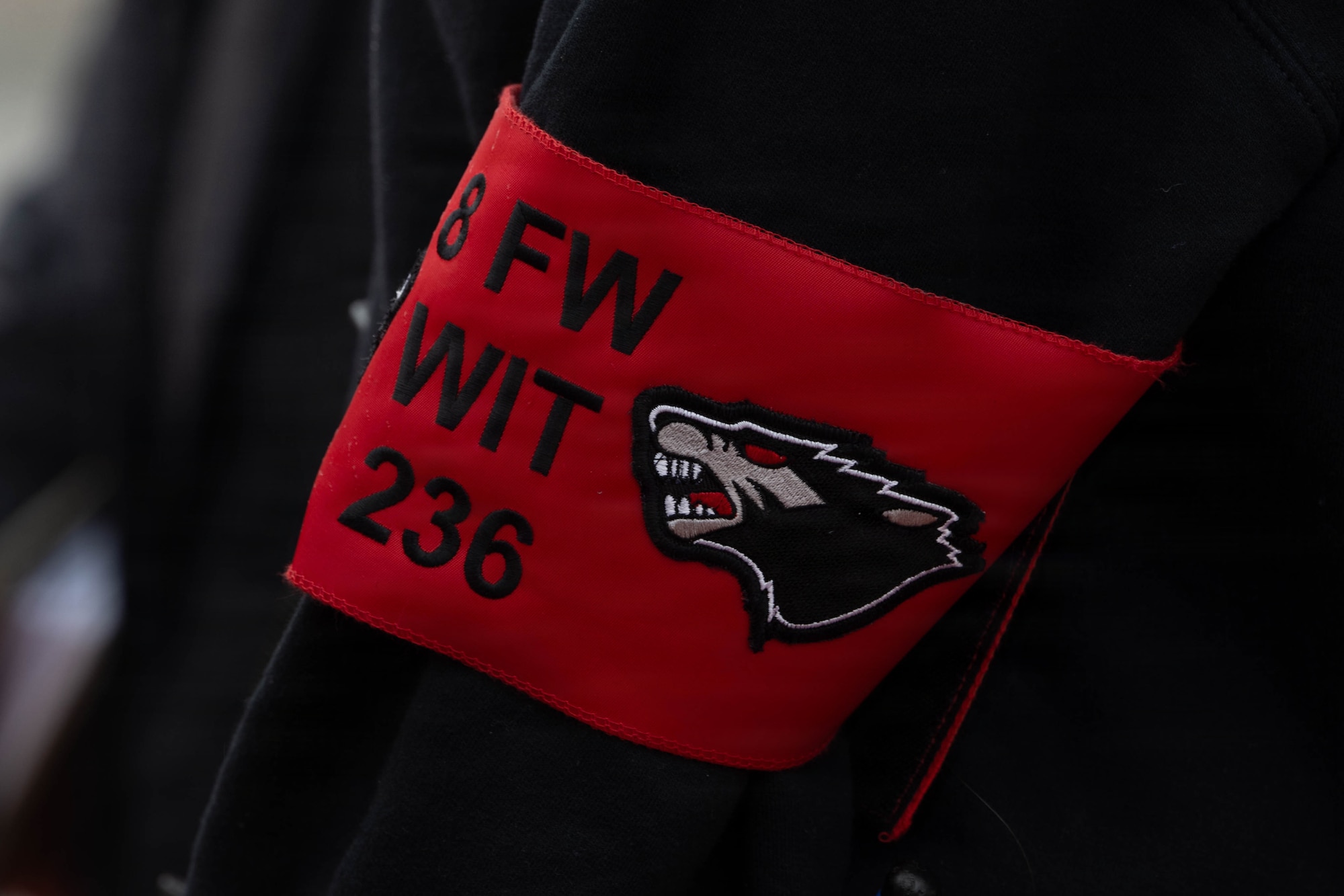 A Wing Inspection Team armband is displayed.