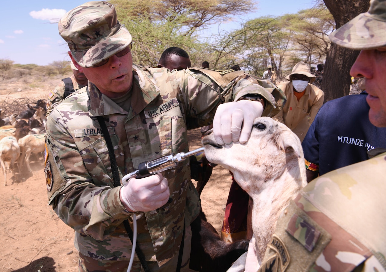 A man wearing a camouflage military uniform administers medication to a goat while another man wearing in similar attire holds the animal.