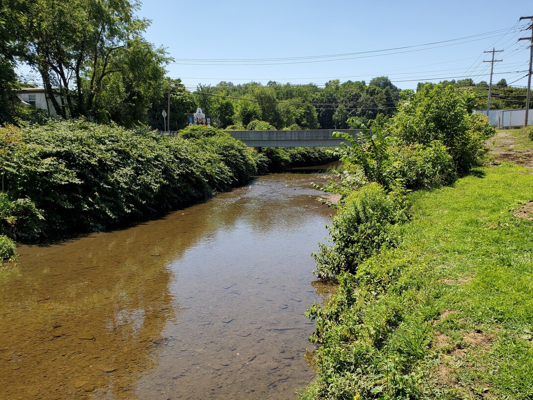 A creek under a bridge in a residential area.