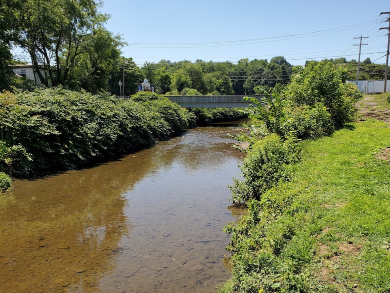 A creek under a bridge in a residential area.
