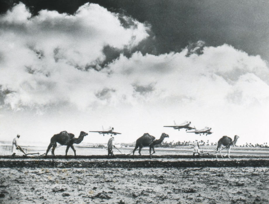 Fighter jets fly over camels in Morocco in the mid 1950's.