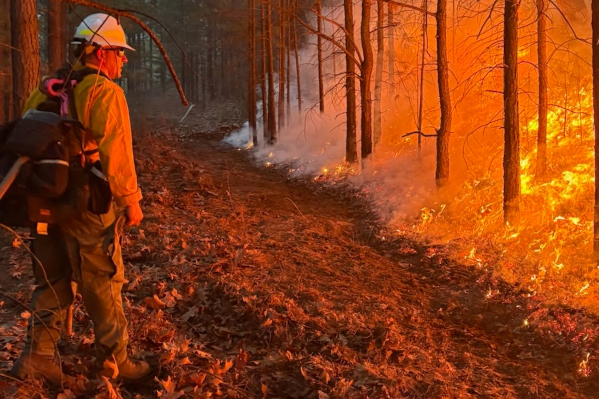 A man wearing a helmet stands in the forest and looks at a raging fire in the brush in front of him during the daytime.