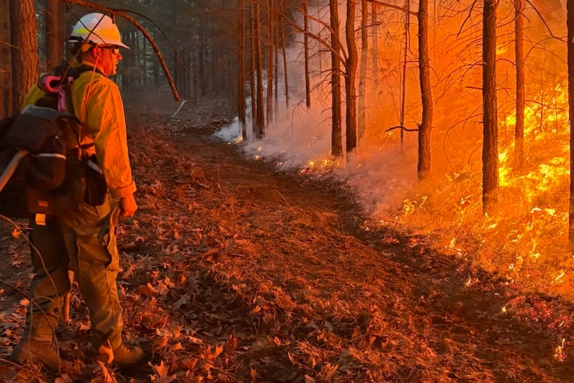 A man wearing a helmet stands in the forest and looks at a raging fire in the brush in front of him during the daytime.