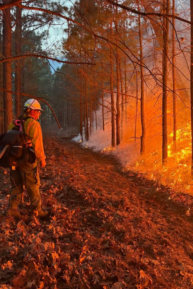 A man wearing a helmet stands in the forest and looks at a raging fire in the brush in front of him during the daytime.