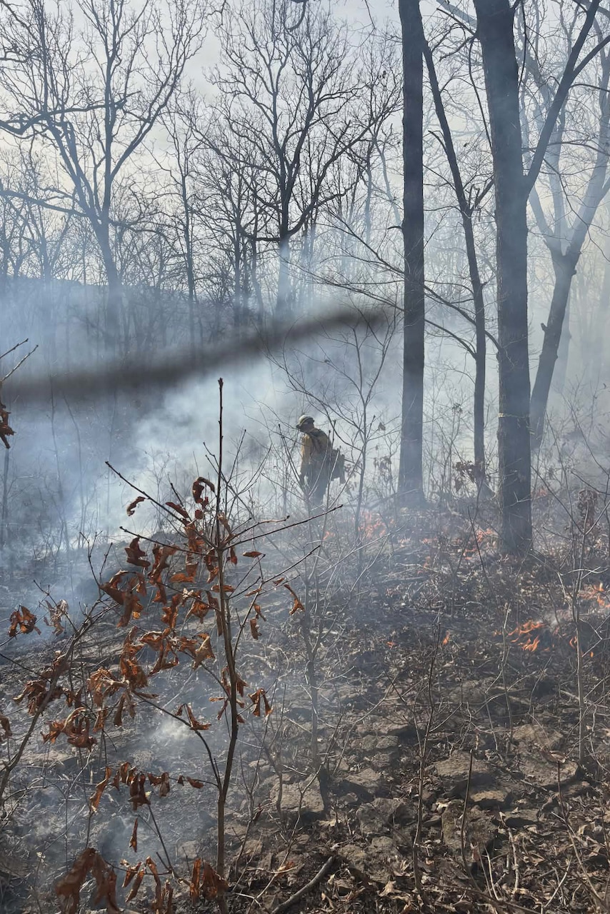 A person in the distance stands in a smoke-filled forest during the daytime.