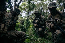 U.S. Marines with 7th Communication Battalion, III Marine Expeditionary Force Information Group, report back to the combat operations center during a jungle training event at Camp Hansen, Okinawa, Japan, Feb. 4, 2026.