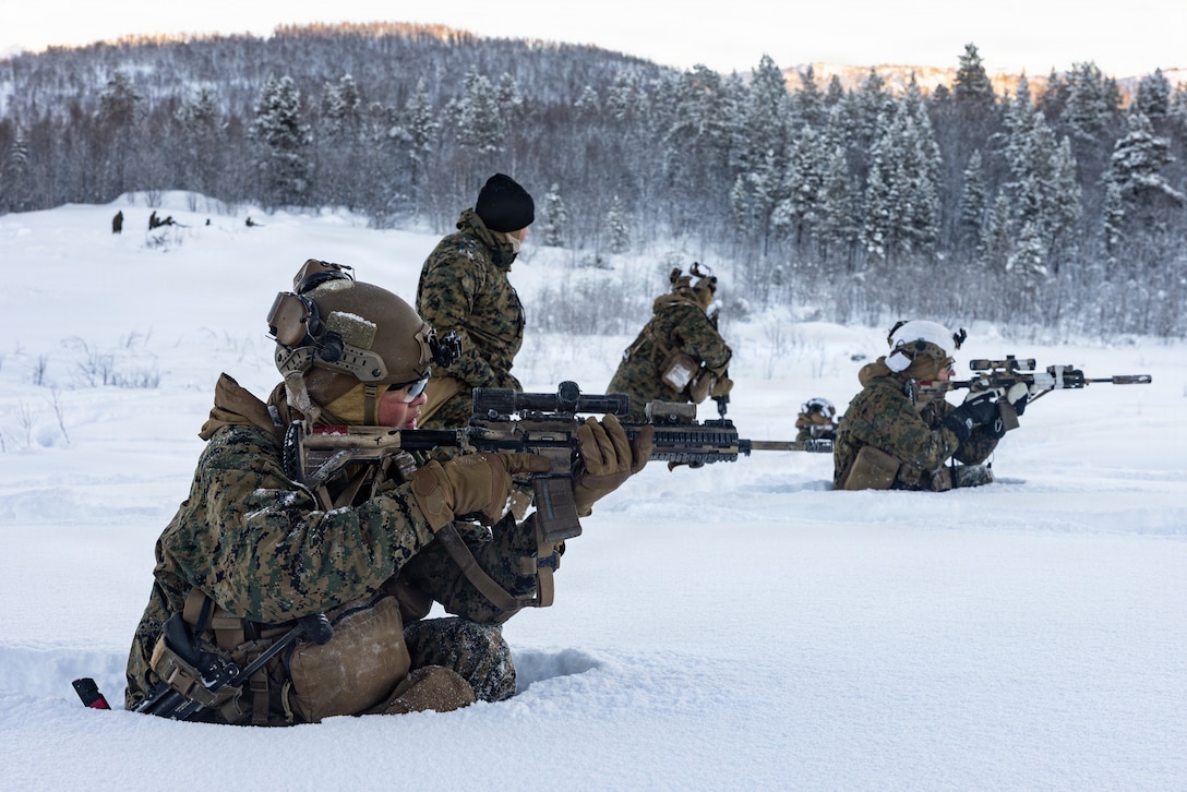 U.S. Marines with 2nd Battalion, 6th Marine Regiment, 2nd Marine Division, conduct dry-fire and maneuver squad attacks during exercise Cold Response 26 in Setermoen, Norway, Feb. 23, 2026. A key component of NATO's enhanced vigilance activity Arctic Sentry, exercise Cold Response 26 is a Norwegian-led winter military exercise designed to enhance collective defense capabilities and ensure U.S. readiness to rapidly deploy and seamlessly operate alongside NATO Allies in challenging arctic conditions. (U.S. Marine Corps photo by Cpl. Judith Ann Lazaro)