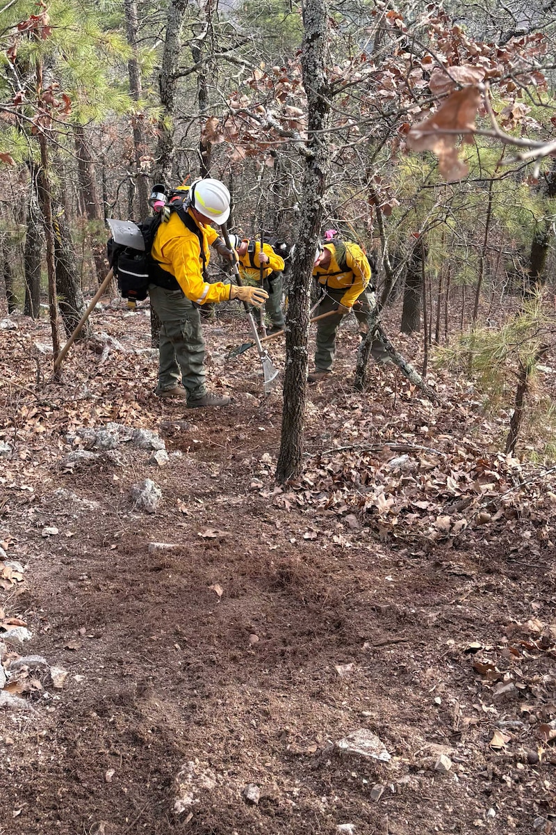 Firefighters in protective gear rake in a forest.