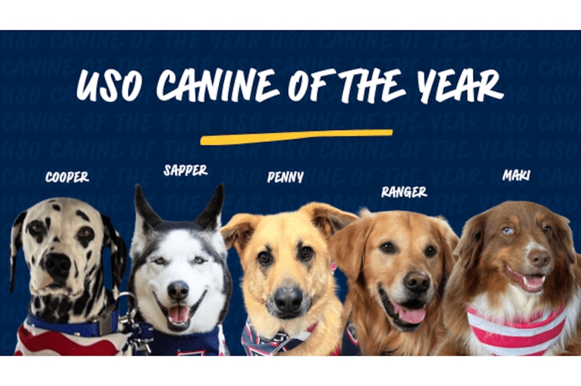 A graphic shows five dogs and their names, along with the phrase "USO Canine of the Year."