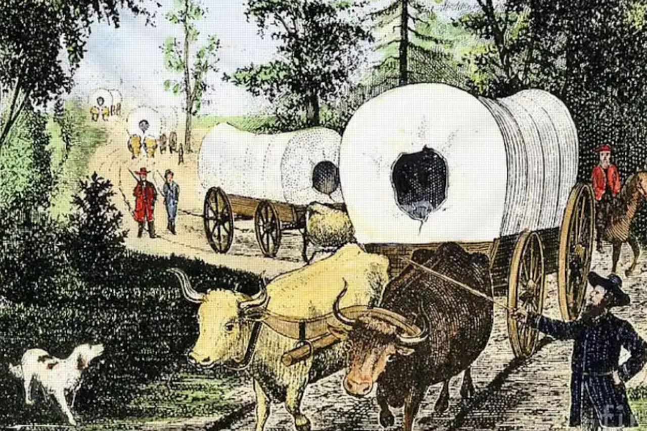 An illustration displays a wagon train, pulled by oxen, moving over a primitive road.