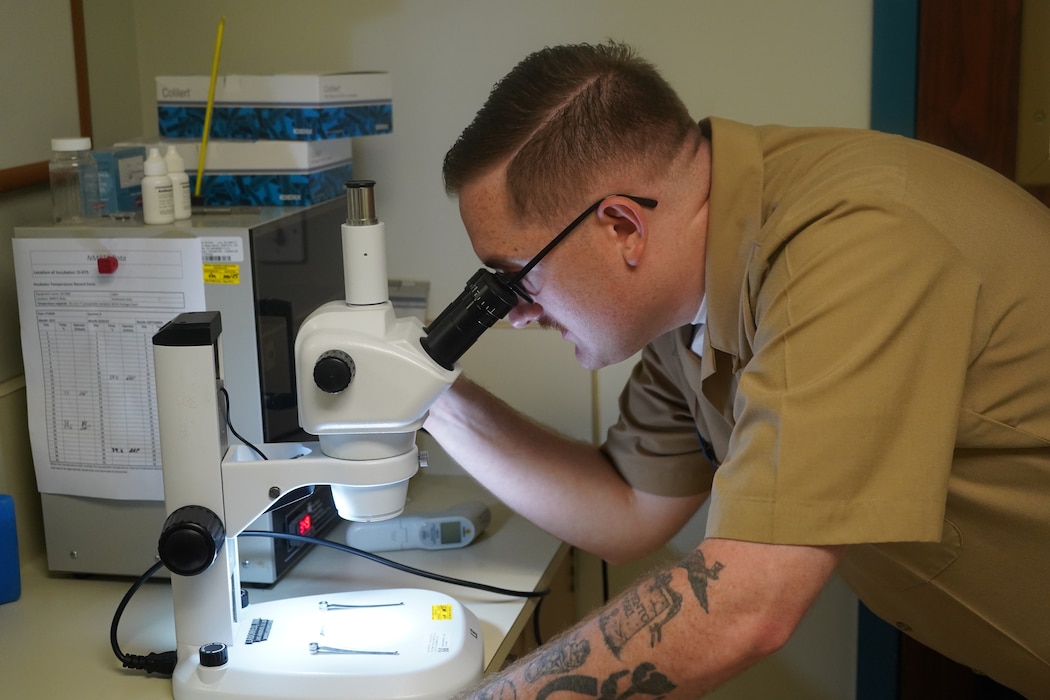 260104-N-FT324-8668. ROTA, Spain (January 4, 20226) — Hospital Corpsman Second Class Logan T. Pentz, a Preventive Medicine Technician assigned to Naval Medical Readiness and Training Command Rota, examines a specimen using a microscope as part of routine public health surveillance. Pentz supports warfighter readiness by identifying potential health threats, conducting preventive medicine inspections, and helping ensure a safe and healthy environment for Sailors and their families. (U.S. Navy Released By Lt. Cmdr. Alicia Sacks)