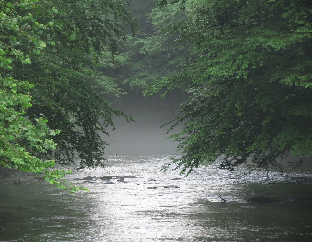One of twelve winning photos from the Philadelphia District's 2025 Northern Area Photo Contest. Participants were encouraged to submit their best photos of the District’s 5 dams in Eastern Pennsylvania: Blue Marsh Lake, Beltzville Dam, Francis E. Water Dam, Prompton Dam, General Edgar Jadwin Dam and adjacent state park areas.

Summer Category, After Rain, Prompton Dam, Photo by Sarah Hine