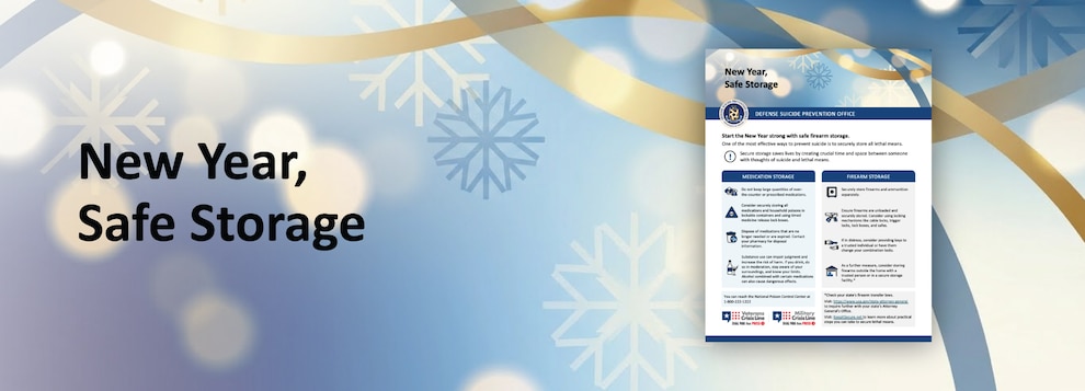 Image of a Banner with Snow Flakes and Ribbon with an image of a Flyer.  Text says "New Year, Safe Storage"