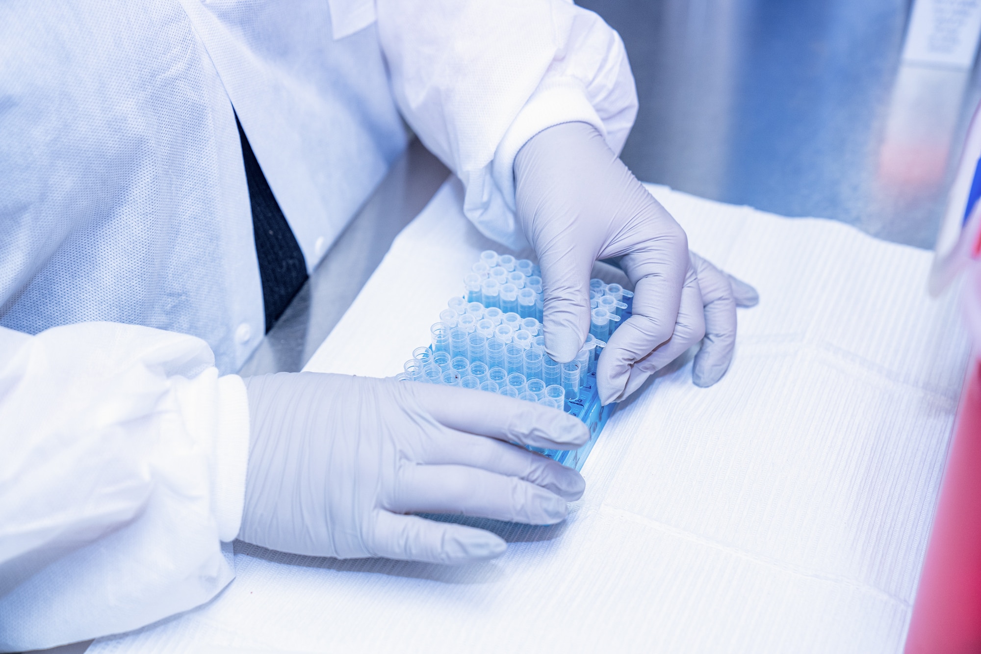 Two hands in blue latex gloves handle a pipette tip rack.