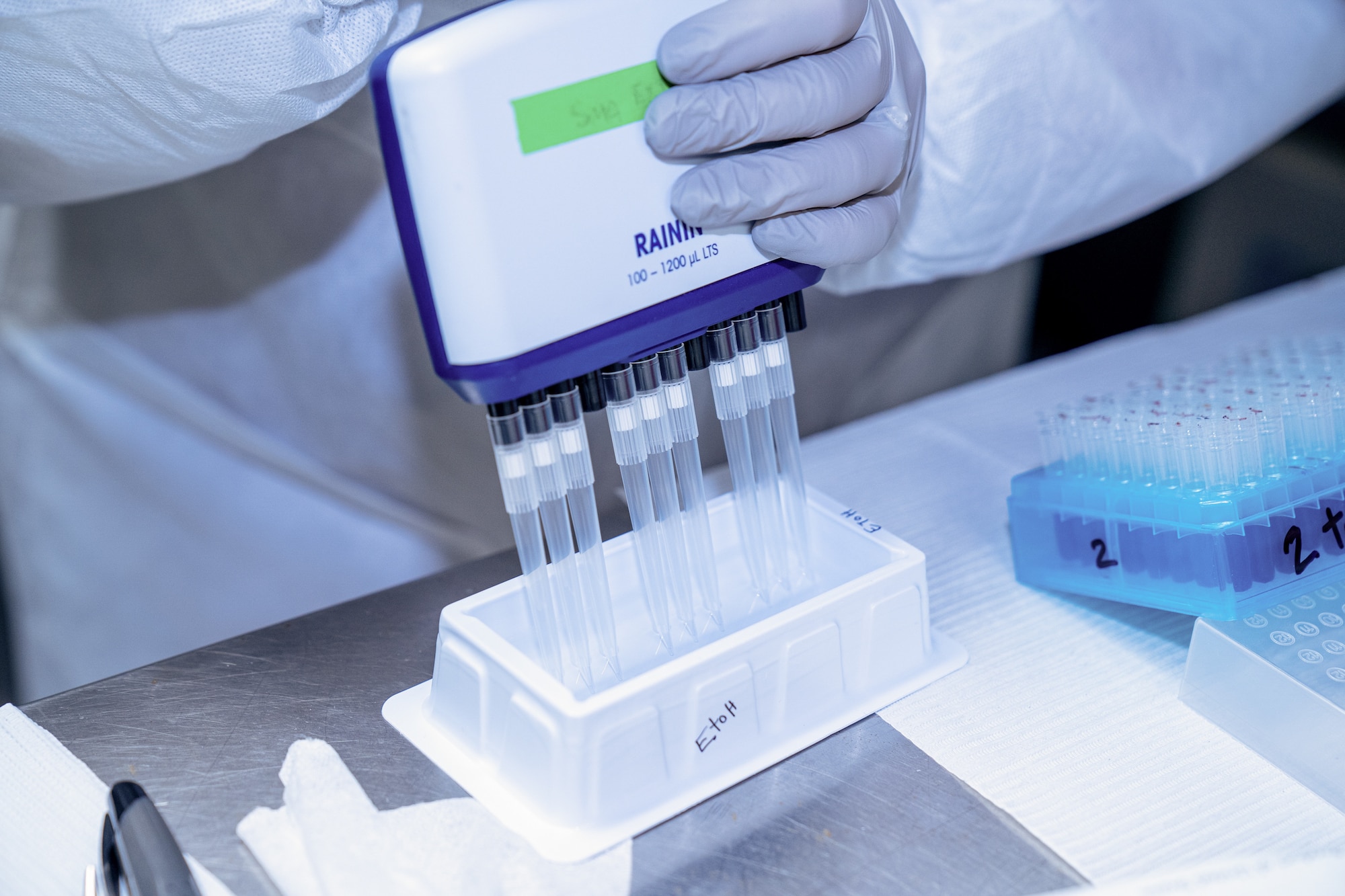A hand wearing a blue latex glove holding a multi-channel pipette.