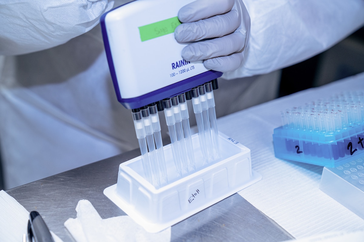 A hand wearing a blue latex glove holding a multi-channel pipette.