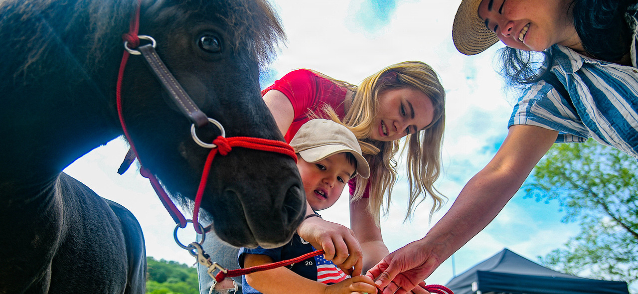 Family and Morale, Welfare and Recreation