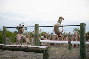 Two people in camouflage military uniforms flip over horizontal poles on an obstacle course while a group of people in similar attire watch in the background.