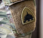 The Army National Guard patch is displayed on the sleeve of a District of Columbia National Guard Soldier supporting the D.C. Safe and Beautiful mission in Washington, D.C. Guardsmen provide a visible, disciplined presence and work alongside local and federal partners to enhance public safety, strengthen community trust, and help ensure the nation’s capital remains secure for residents, commuters, and visitors. (U.S. Army National Guard photo by Spc. Paris Hayes)
