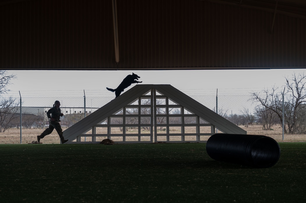 A military working dog assigned to the 17th Security Forces Squadron clears an obstacle during a demonstration for members of the Leadership San Angelo Class of 2026 at Goodfellow Air Force Base, Jan. 8, 2026. The demonstration showcased the training and capabilities of military working dogs in support of installation security and mission readiness. (U.S. Air Force photo by Airman 1st Class James Salellas)