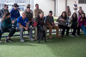 Members of the Leadership San Angelo Class of 2026 observe a military working dog demonstration conducted by U.S. Air Force Senior Airman Maura Goodwin, 17th Security Forces Squadron, at Goodfellow Air Force Base, Jan. 8, 2026. The immersion offered participants a behind-the-scenes look at how security forces support the installation’s mission. (U.S. Air Force photo by Airman 1st Class James Salellas)