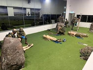 U.S. Army Reserve physician joins international team to study, advise on Israeli Defense Forces' combat casualty care