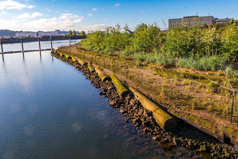 A rehabilitated shoreline section near Seattle, showing post-salvage environmental improvements and erosion control vegetation. (Photo courtesy Port of Seattle)