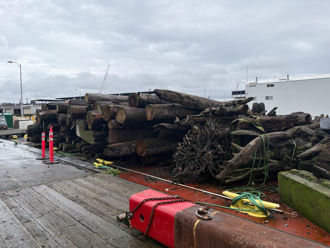A U. S. Army Corps of Engineers' barge, at Lake Washington Ship Canal and Hiram M. Chittenden Locks, Seattle, overflows with large woody debris, derelict objects, waterfront debris and other sources of drift, that may damage vessels or threaten public health, recreation or the environment at publicly maintained commercial boat harbors. Seattle District's MV Puget patrols the inland waters of Puget Sound and collects the debris and obstructions to navigation, cuts them down to more manageable pieces and places them on the barges for transport.