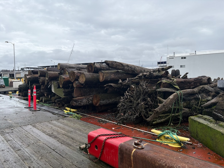 A U. S. Army Corps of Engineers' barge, at Lake Washington Ship Canal and Hiram M. Chittenden Locks, Seattle, overflows with large woody debris, derelict objects, waterfront debris and other sources of drift, that may damage vessels or threaten public health, recreation or the environment at publicly maintained commercial boat harbors. Seattle District's MV Puget patrols the inland waters of Puget Sound and collects the debris and obstructions to navigation, cuts them down to more manageable pieces and places them on the barges for transport.