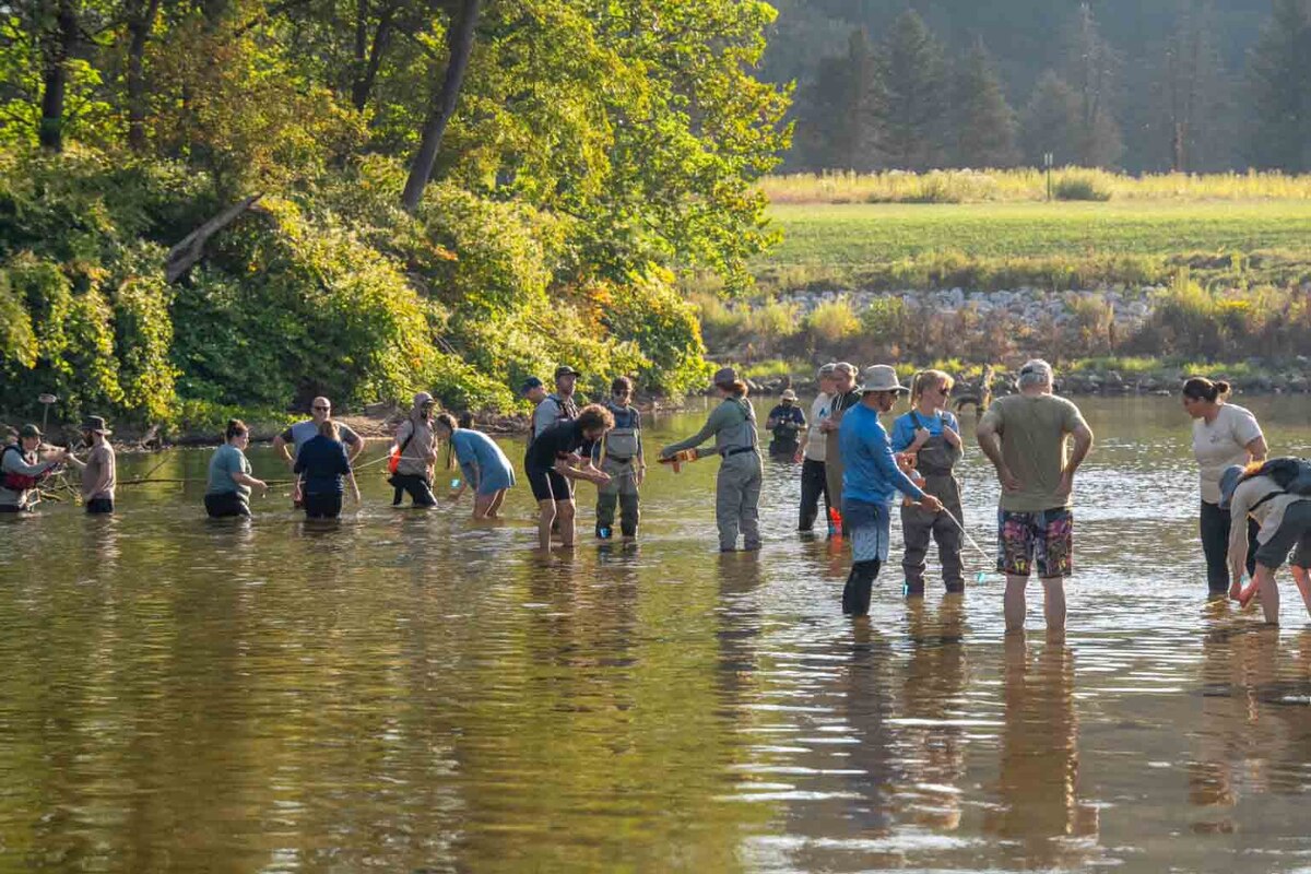 A group of people stand in calf deep water. A forest terrain is behind them.