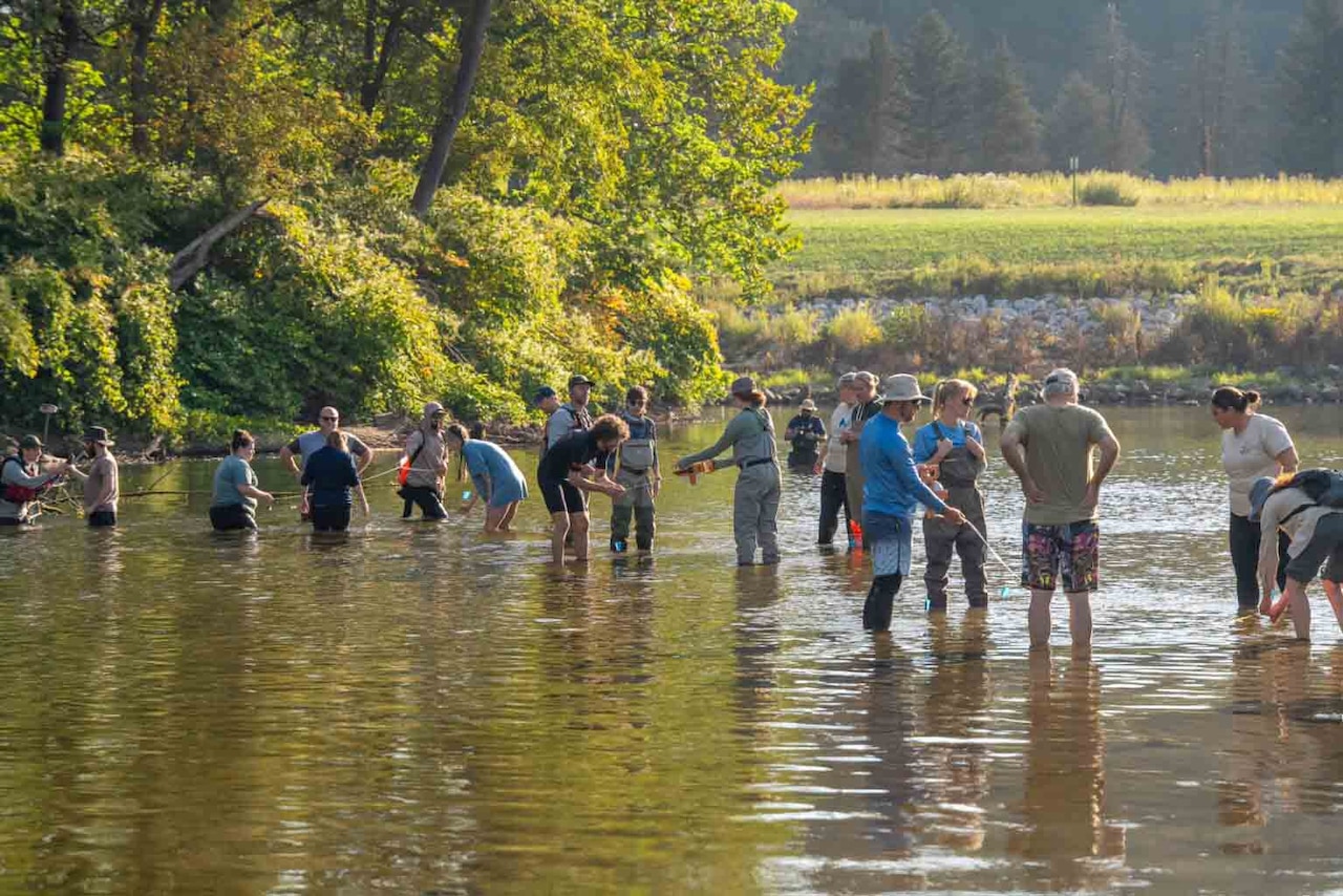 A group of people stand in calf deep water. A forest terrain is behind them.