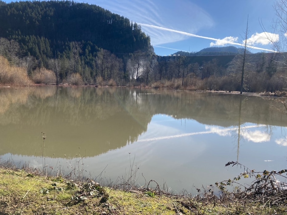 A pond has a dam structure to the right, along with trees and brush surrounding it. There is a reflection of the trees in the water.