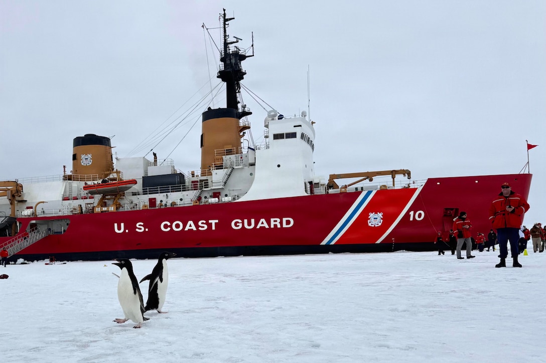 A Coast Guardsman, wearing a red jacket, black pants and boots, looks at two penguins as they walk by with a Coast Guard ship and other guardsmen in the background.