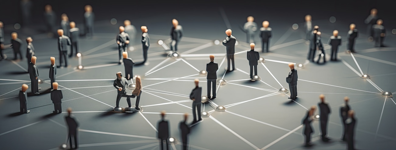 Organization and Products