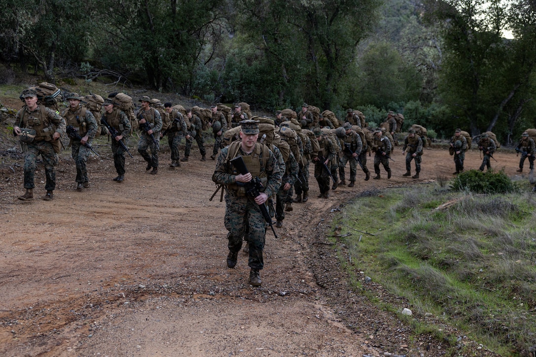 CLB-23 Aerial Insert