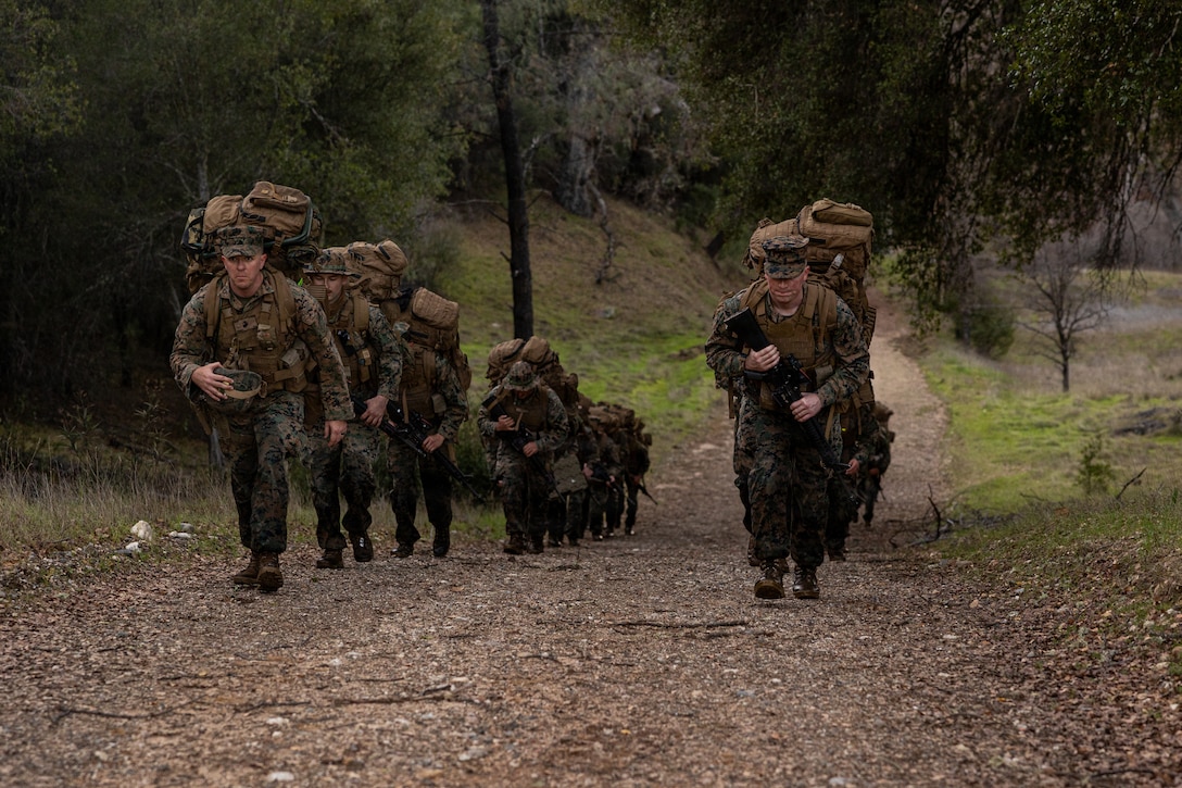 CLB-23 Aerial Insert