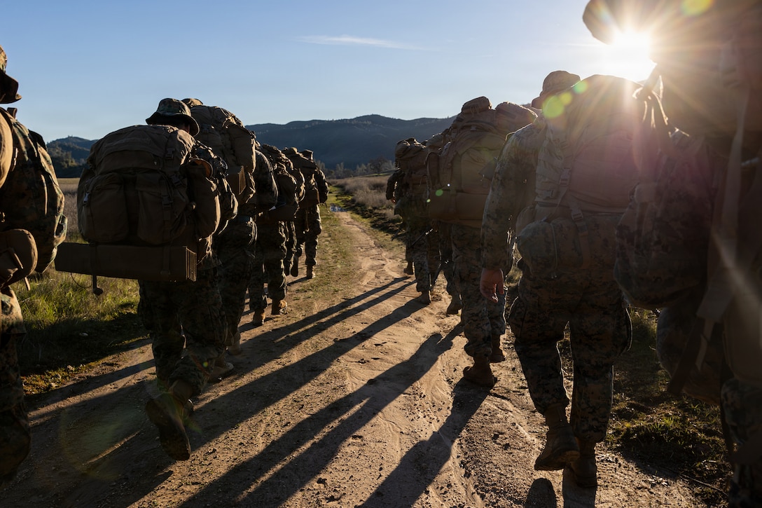 CLB-23 Aerial Insert